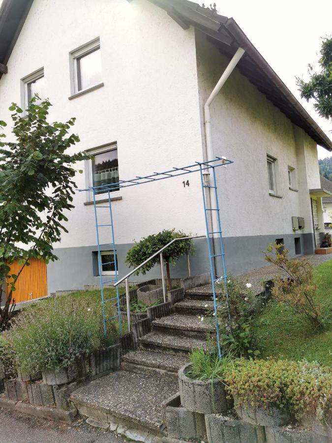 3 Zimmer-Apartment Mit Terrasse 게른스바흐 외부 사진
